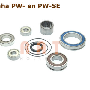 Lagerset voor Yamaha PW SE engine